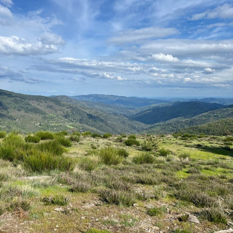 randonnées guidées Cévennes Vastes collines verdoyantes sous un ciel nuageux, un paysage de montagne serein.